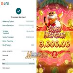 kemenangan kucing gemuk