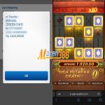 apa itu bet 800?