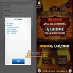 12 wanted free spins